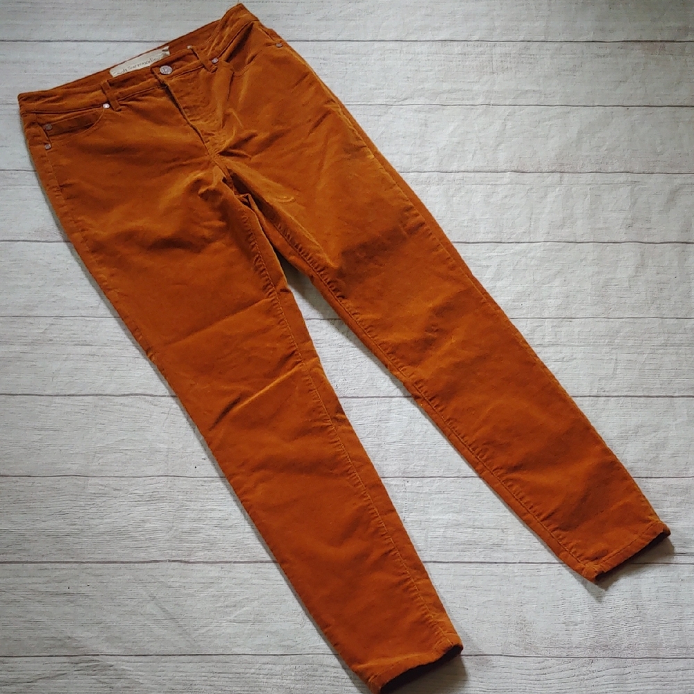 Soft‎ Surroundings Burnt Orange Small Corduroy Trousers